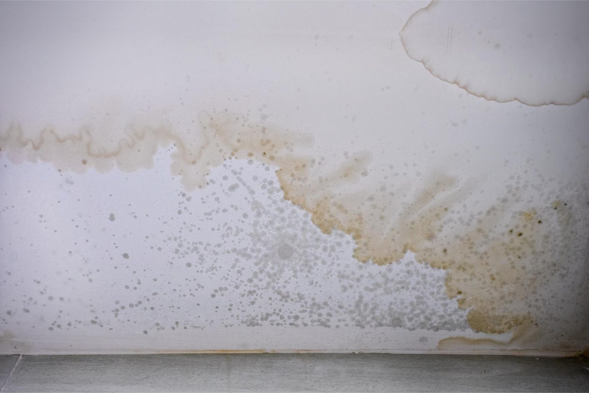 mold stains on bathroom ceiling