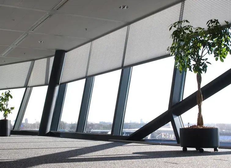 Indvendig udsigt over moderne kontor med store vinduer, sollys og potteplanter.