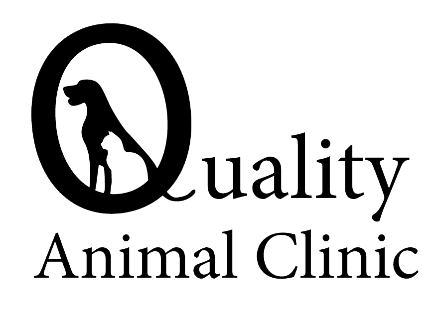 Quality Animal Clinic