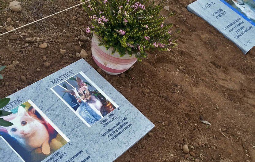 lapide cimiteriale per animale domestico
