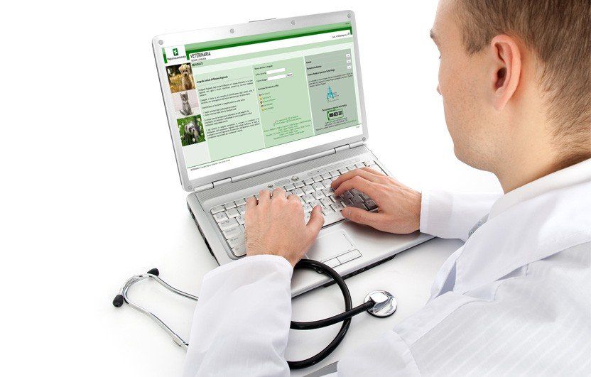 veterinario che espleta le pratiche relative al decesso di animali