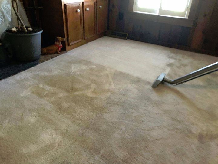 Gallery Get Steamed Carpet Cleaning North Charleston & Hanahan, SC
