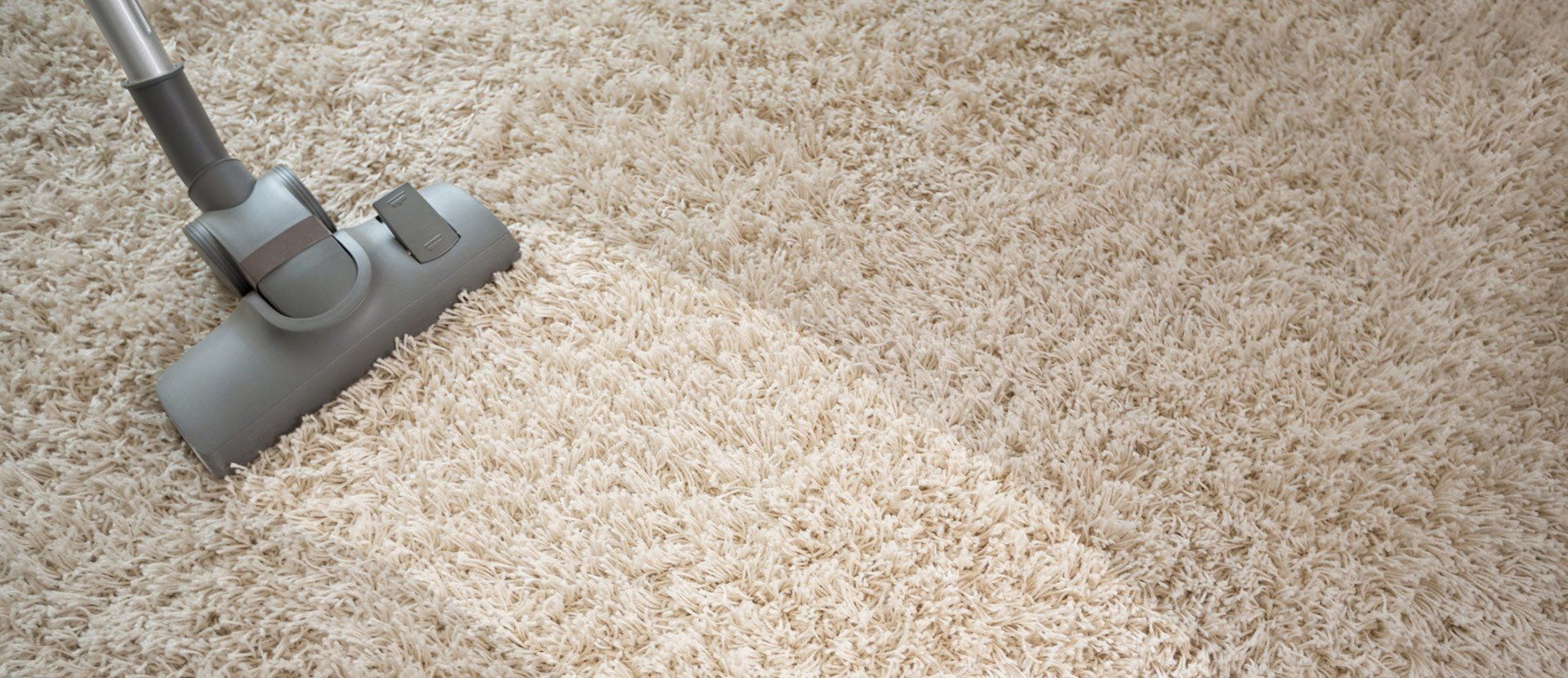 Steam clean carpet Charleston, SC