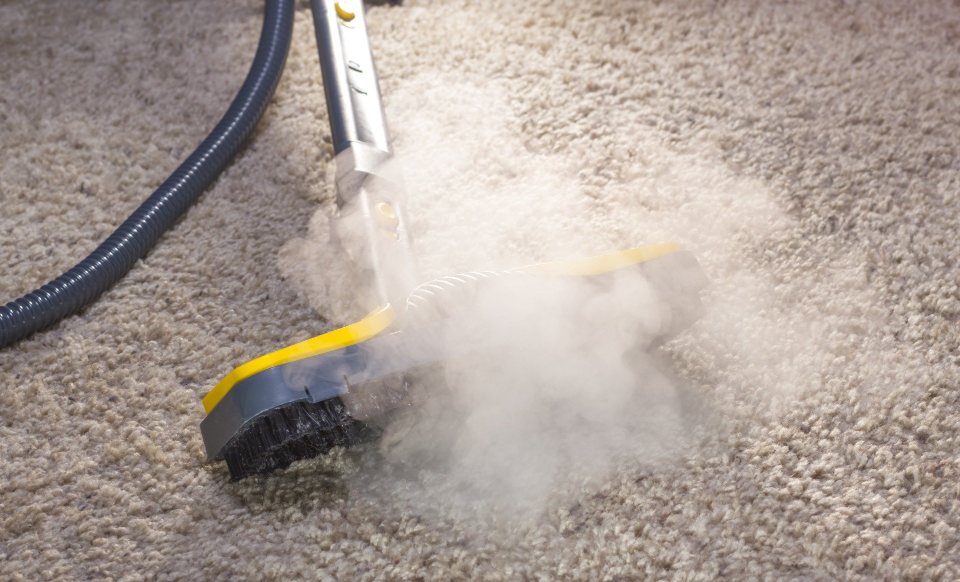 Steam Clean Carpet Charleston, SC