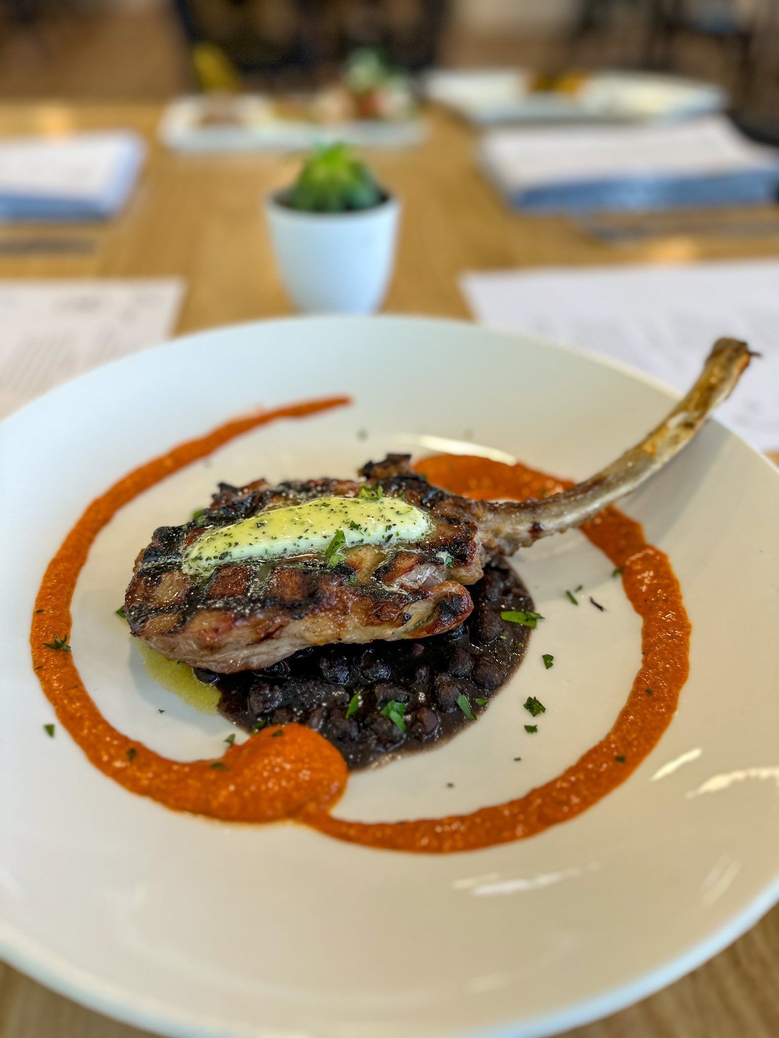 Plated gourmet dish with seared meat, sauce ring, and herb garnish on a white plate in a restaurant setting