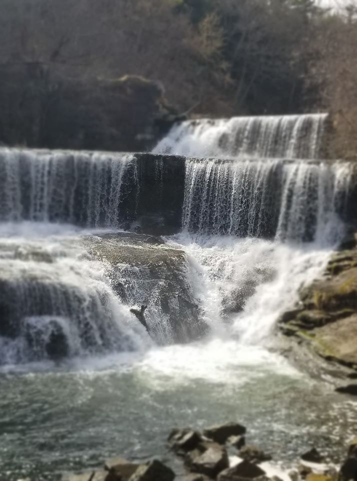 Waterfall cascading over rocky ledges into a pool, with trees and sunlight in the background