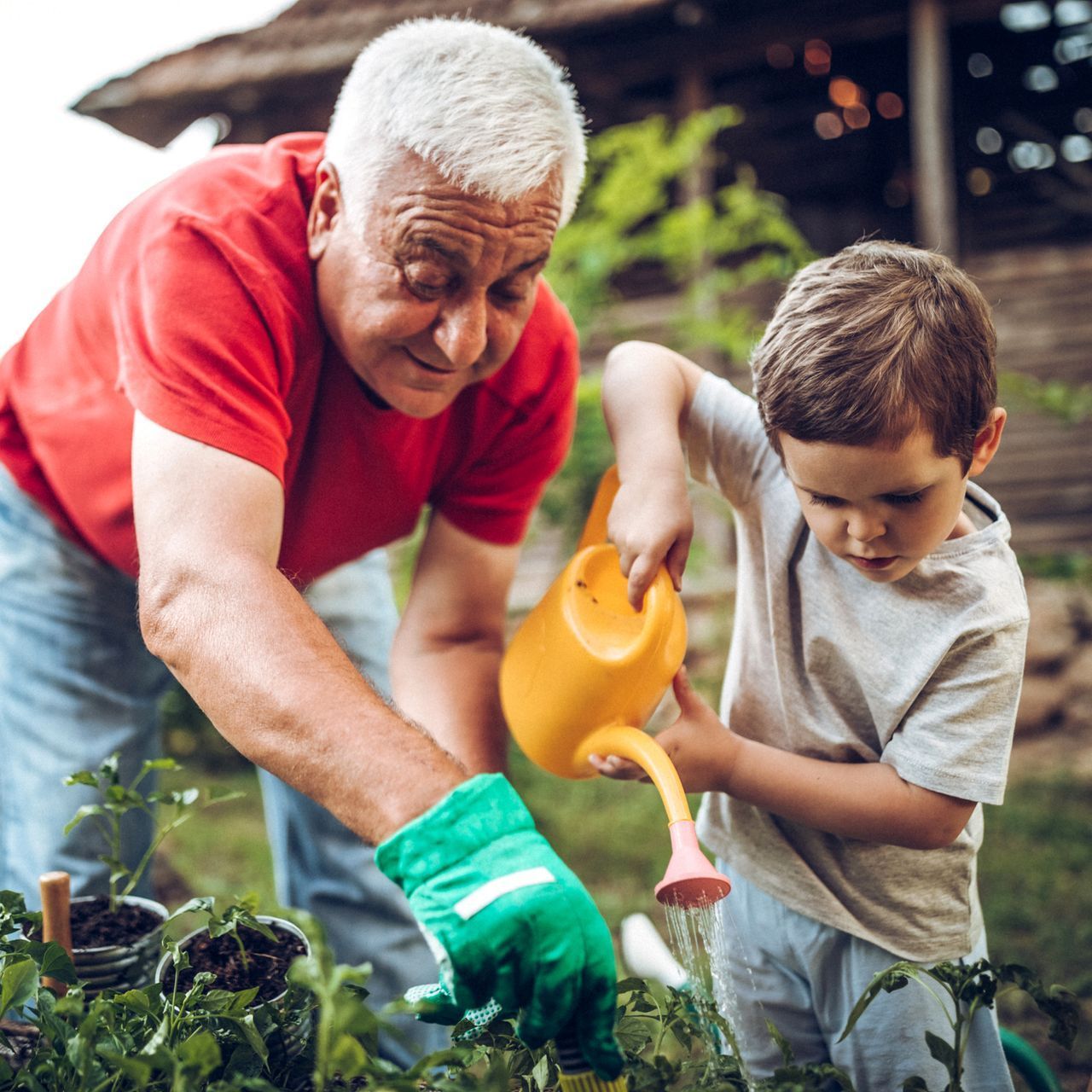 Link to Retirement Income Planning