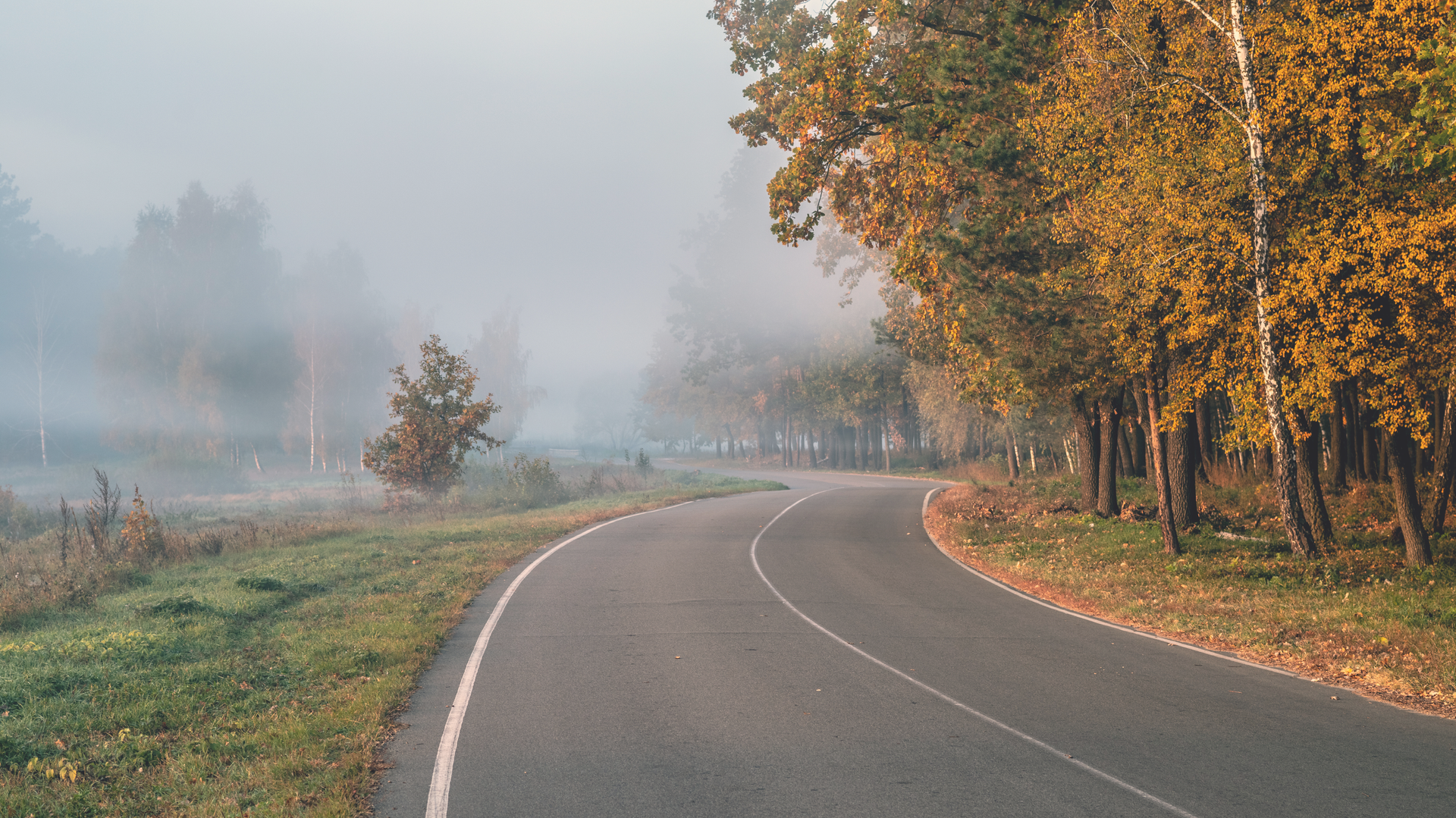 The Unrushed Travelers Guide | Setters Point Travels