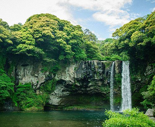 Waterfall cascading into a dark pool surrounded by lush green trees and foliage.