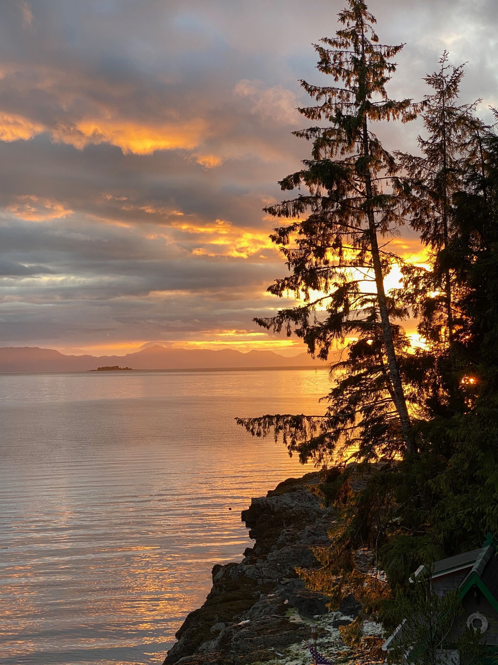 Sunset over calm water, with silhouetted trees on a rocky shore; orange and gold hues in sky.