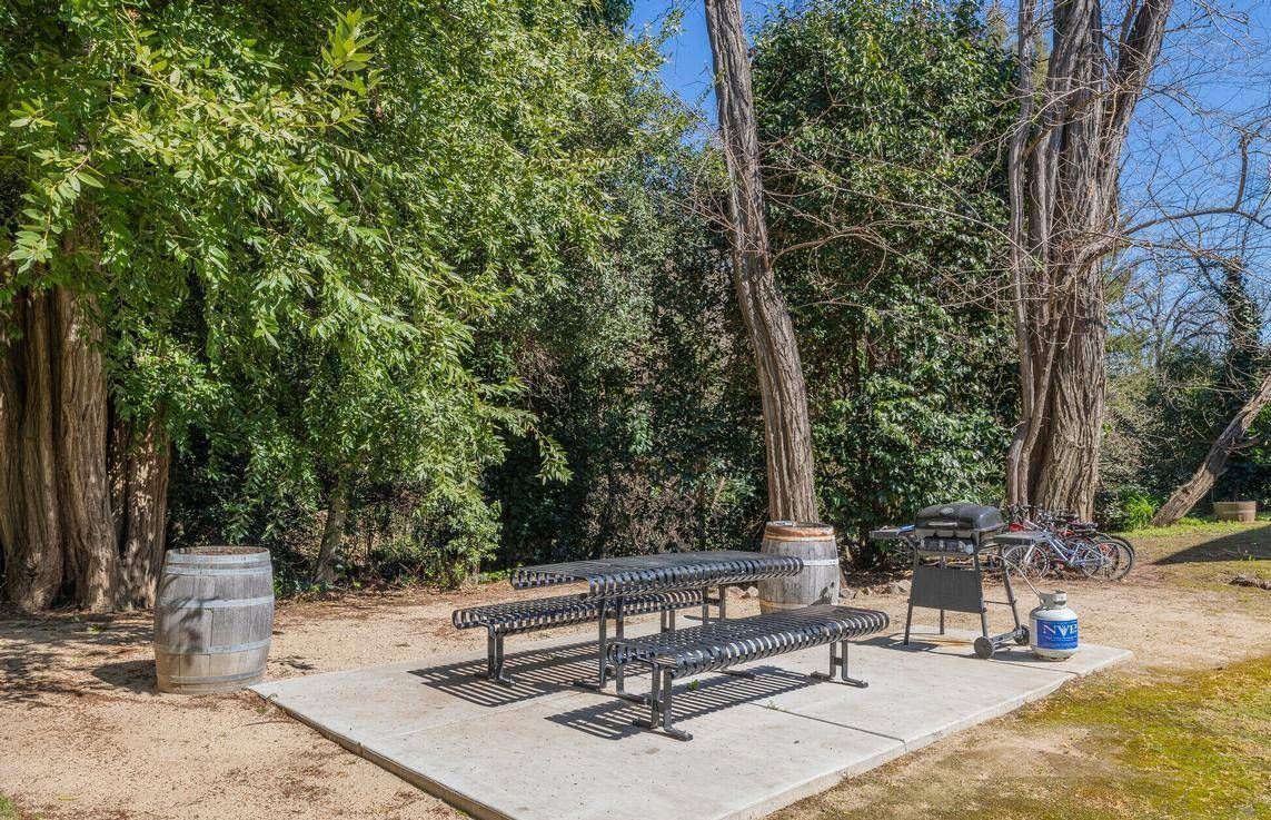 Photo showing a picnic area