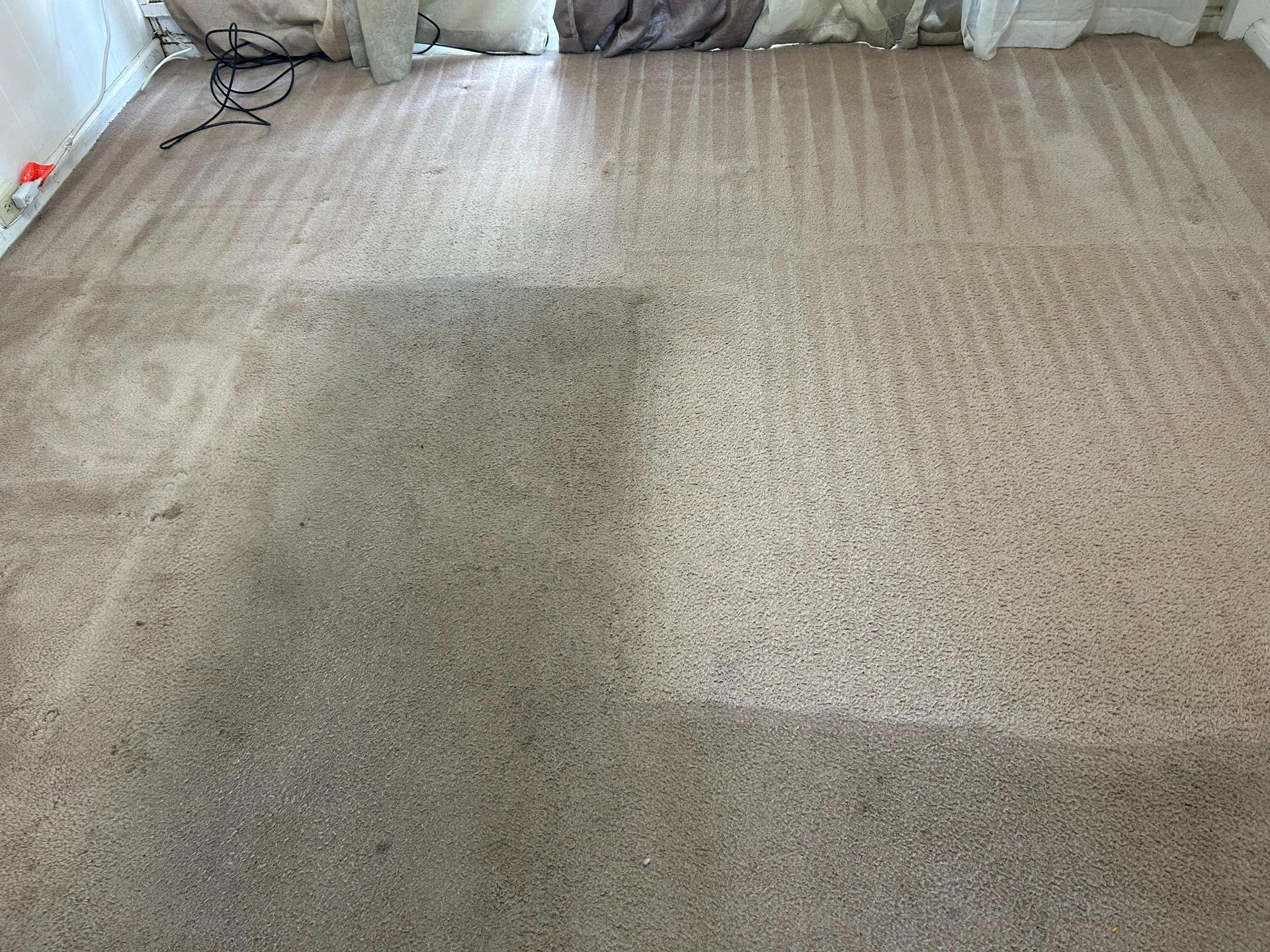 A carpeted floor in a living room with a shadow on it.