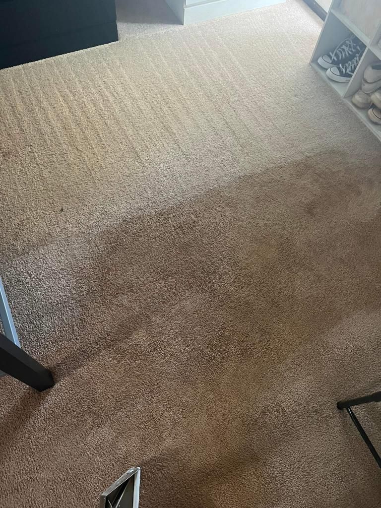 A close up of a carpeted floor in a room.
