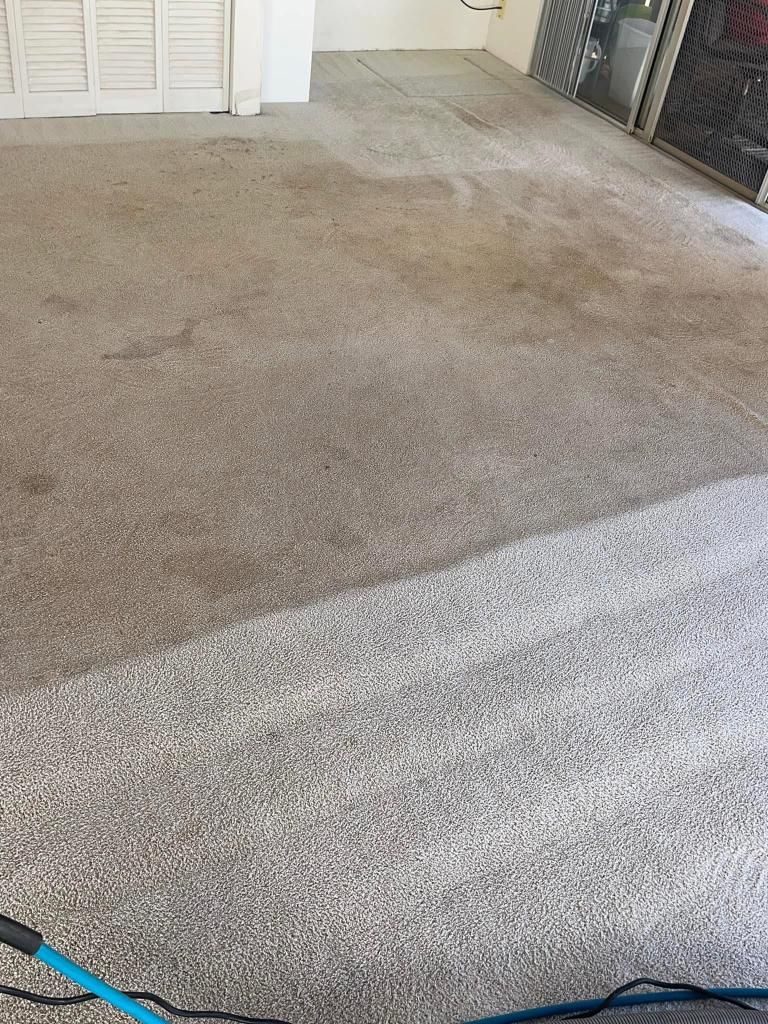 A carpet is being cleaned in a living room with a vacuum cleaner.