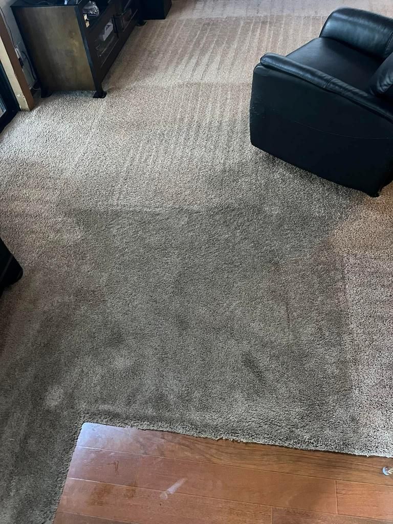 A living room with a carpeted floor , a black chair , and a wooden floor.