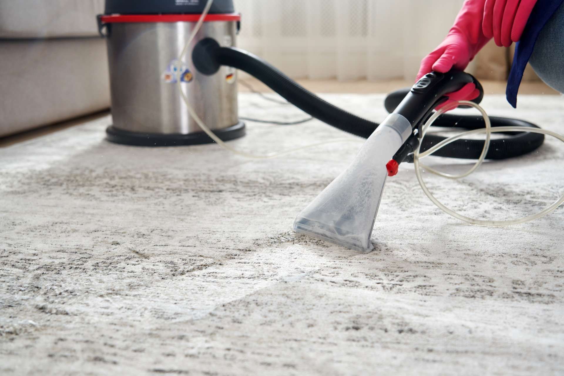 A person is cleaning a carpet with a vacuum cleaner.