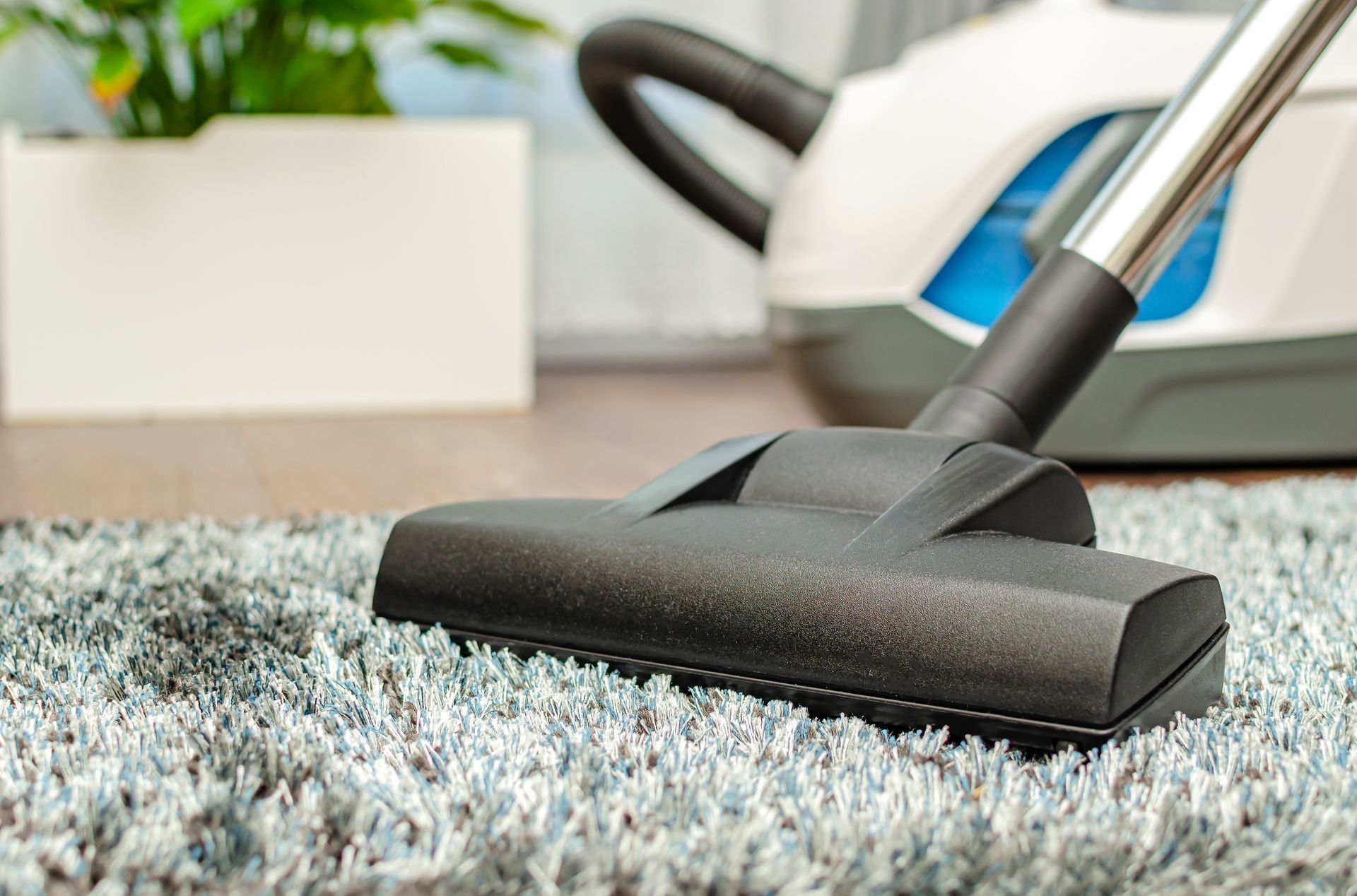 A vacuum cleaner is being used to clean a carpet.