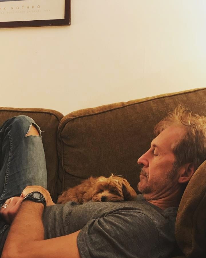 Matt Feinberg  laying on a couch with his dog on his lap