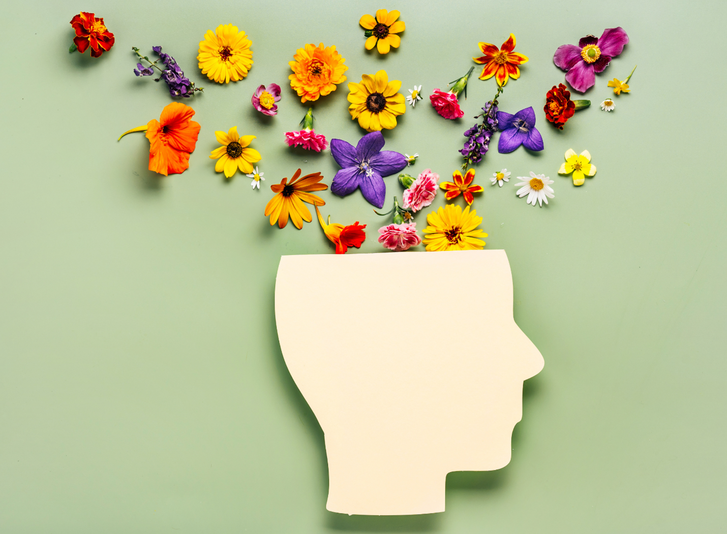 Silhouette of a head with colorful flowers blooming from the top against a pale green background