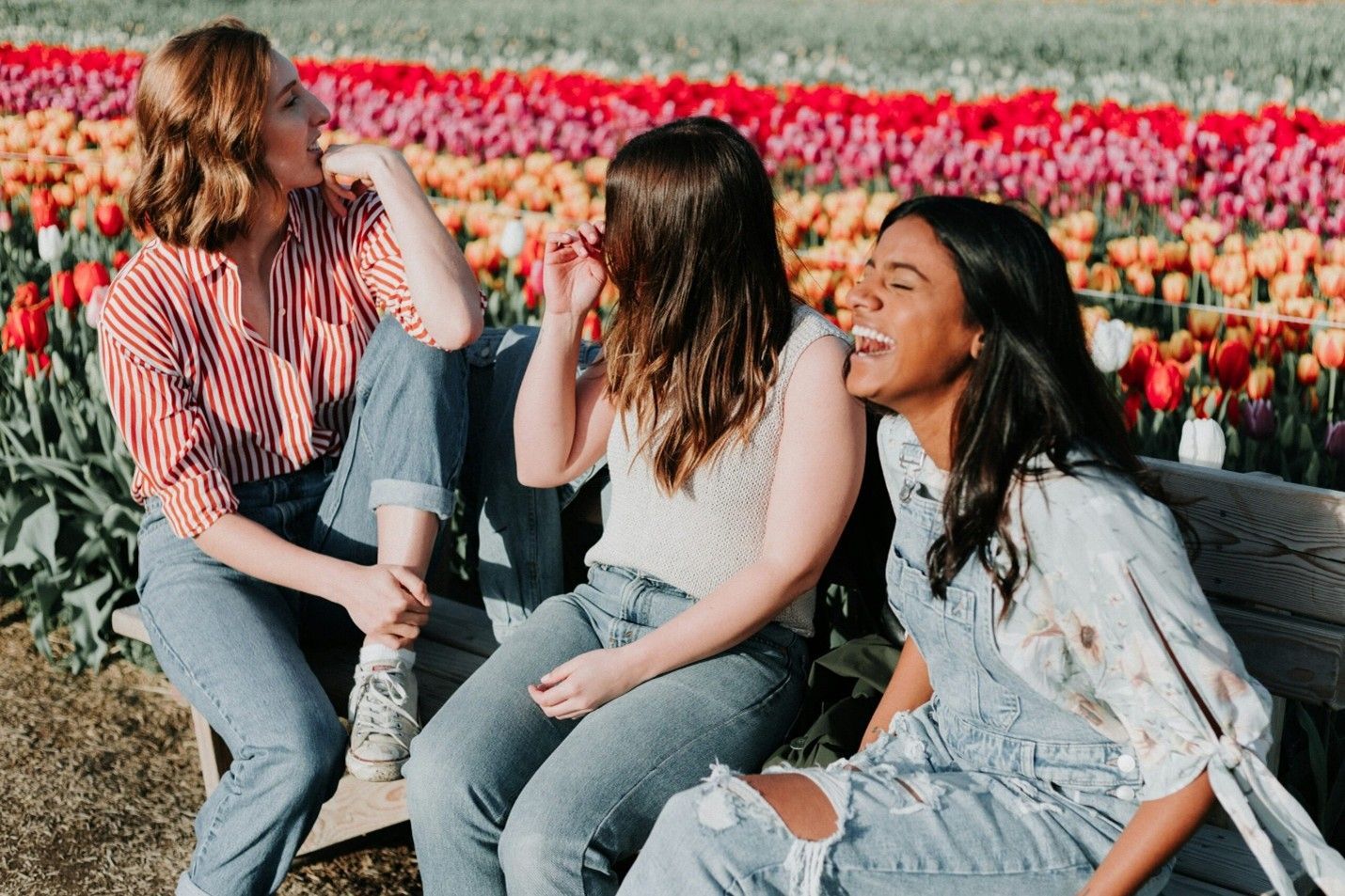 Three friends sit among colorful tulips, smiling and chatting in a flower field.