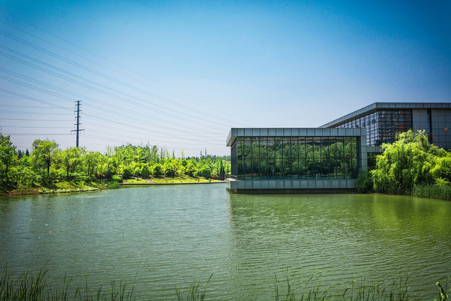 A large building is sitting next to a large body of water surrounded by trees.