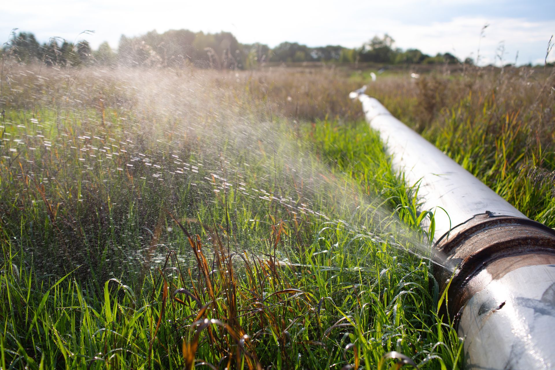 A pipe is spraying water on a field of grass.