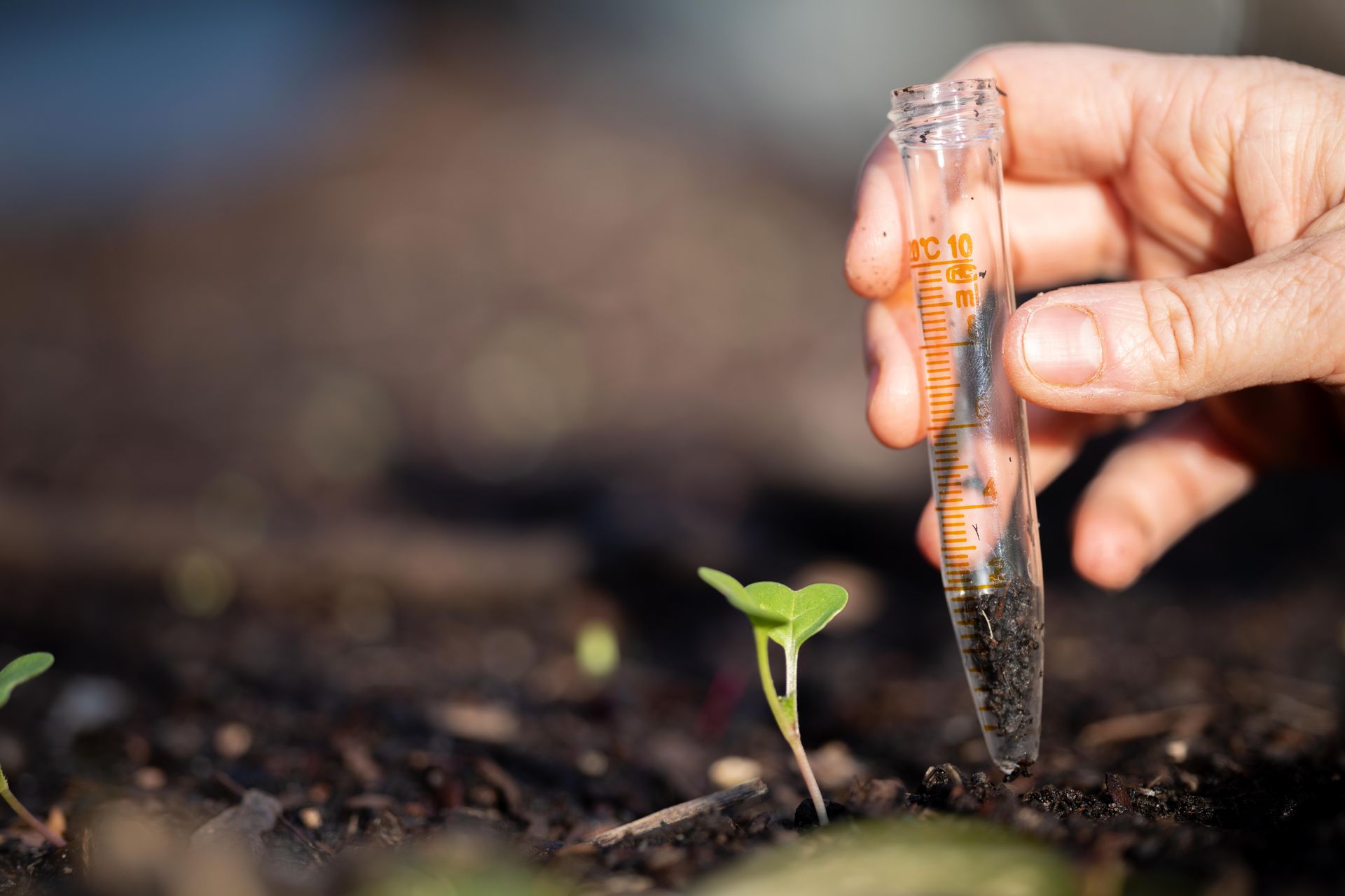 A person is holding a test tube with a plant in it.