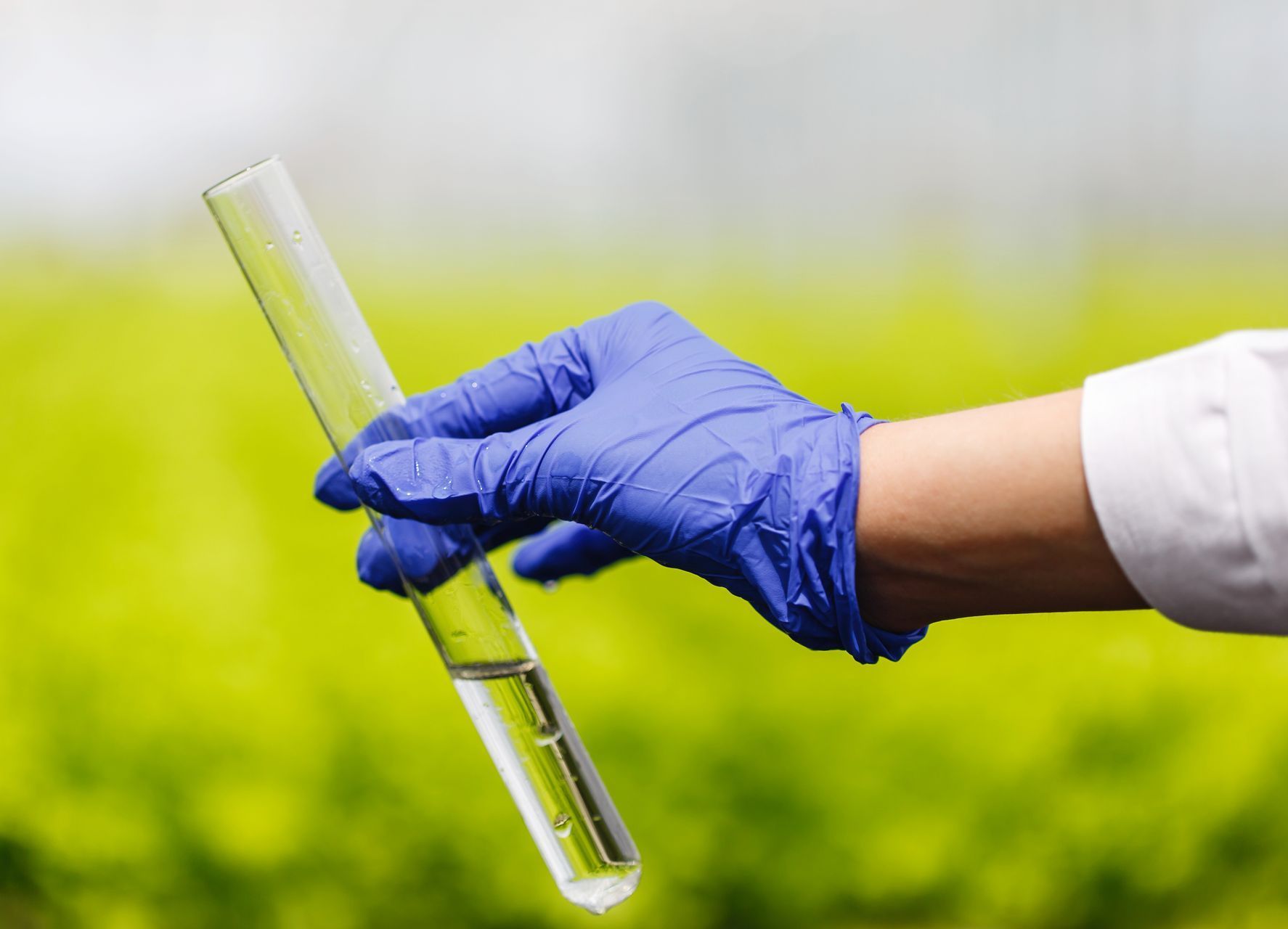 A person wearing blue gloves is holding a test tube with liquid in it.