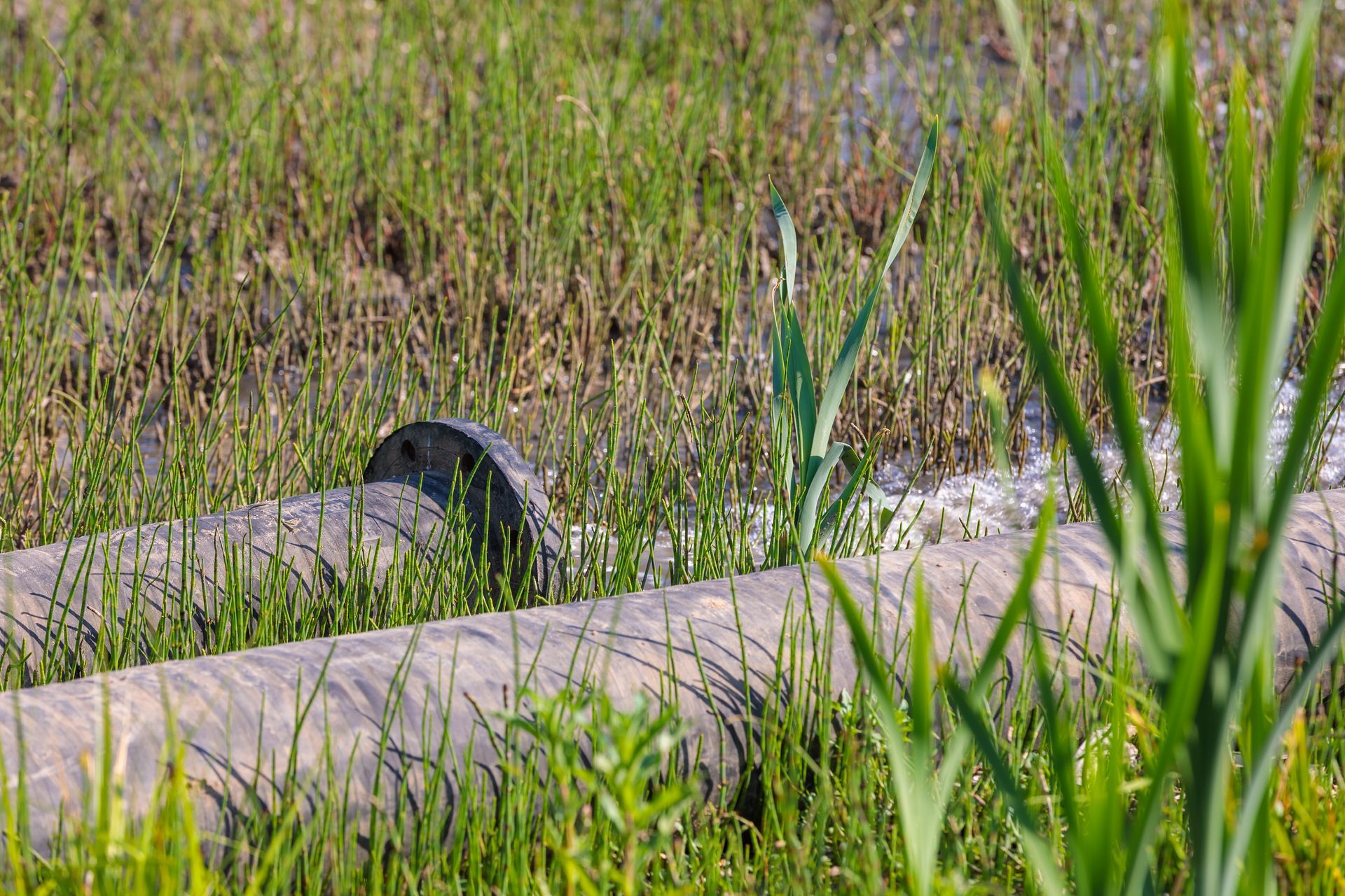 A large pipe is sitting in the middle of a grassy field.