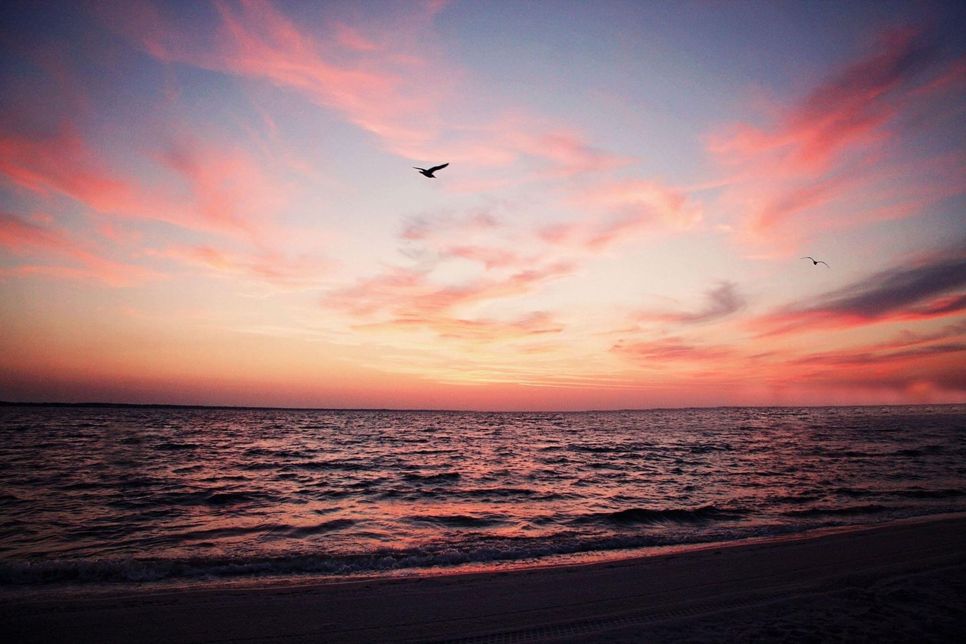 A bird is flying over the ocean at sunset.
