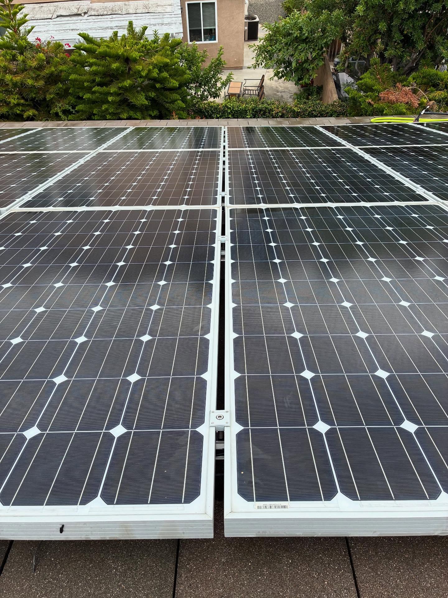 Solar panels installed on a rooftop, with visible black cells and silver framing, set against a backdrop of trees and a building.