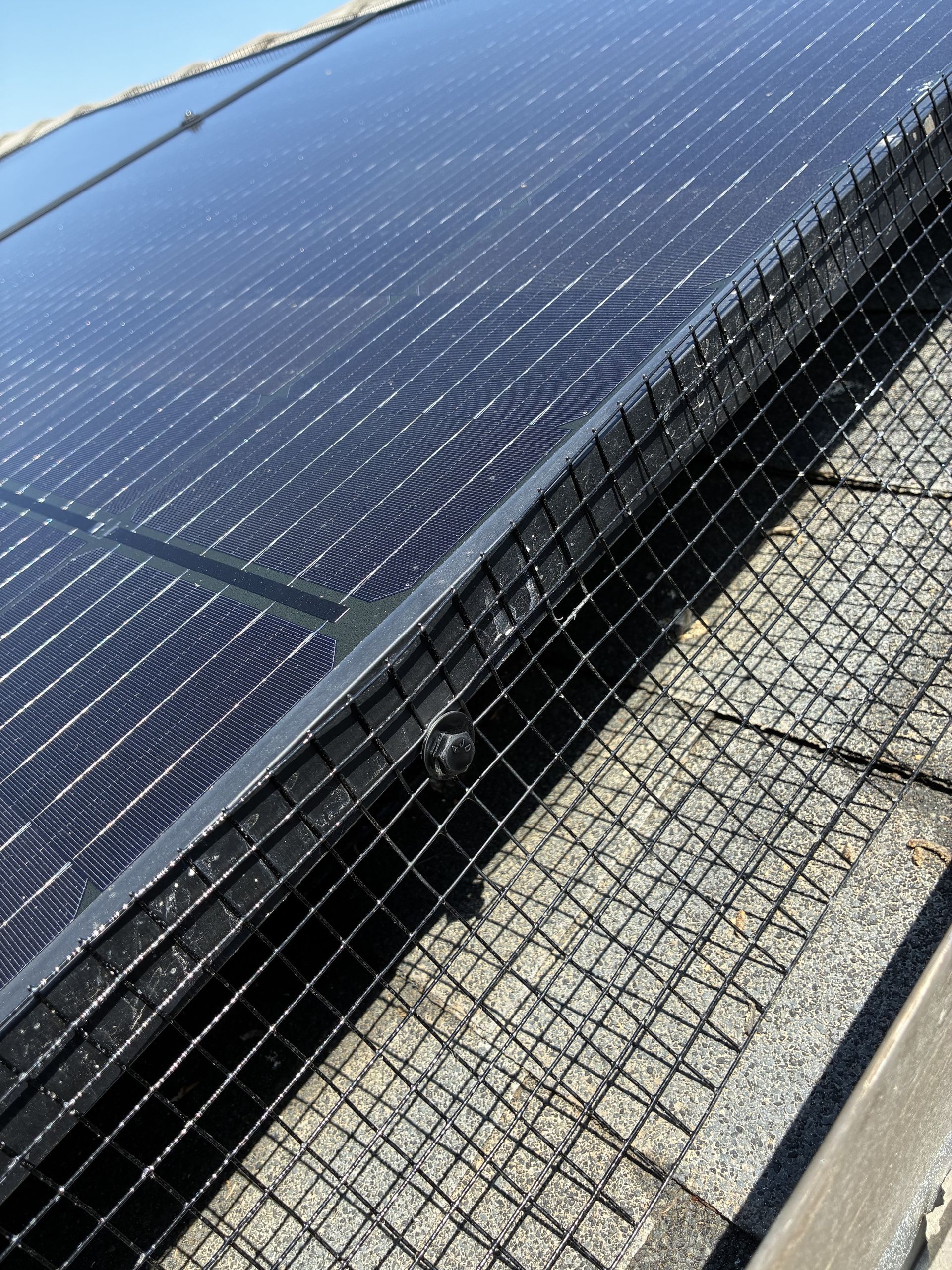 Solar panels with black netting installed to prevent birds from nesting underneath. The setting is on a rooftop.