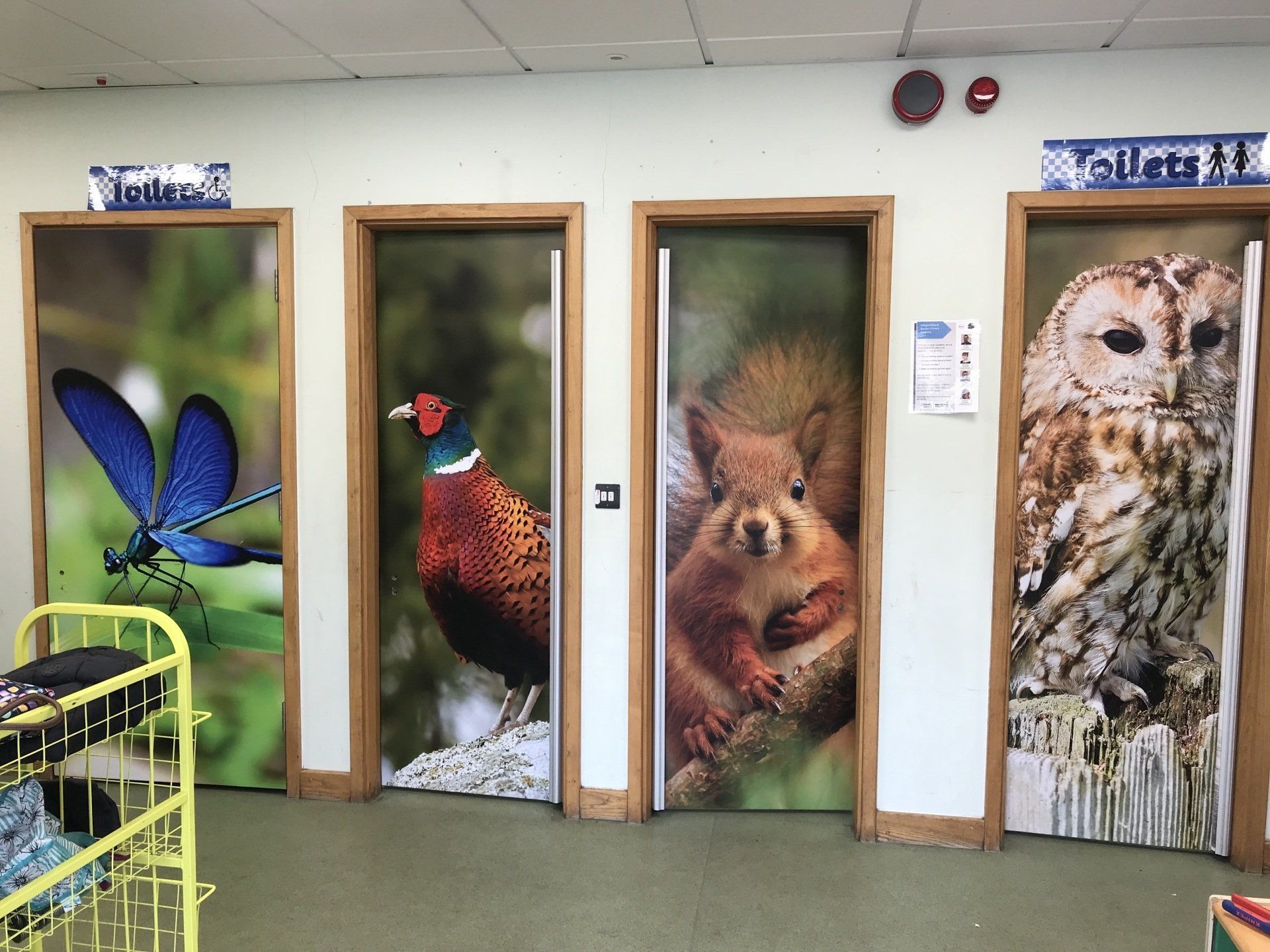 classroom door graphics