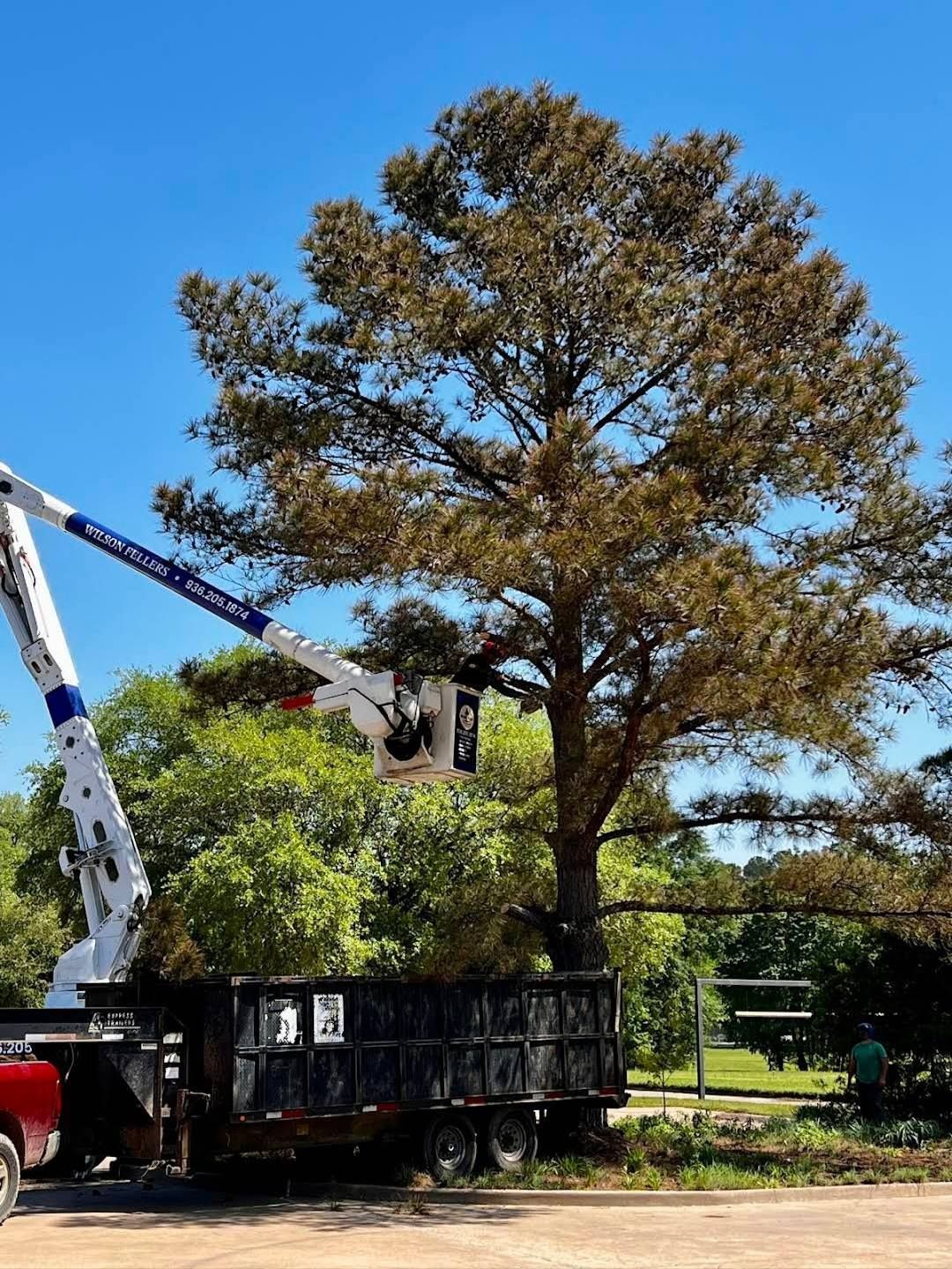 A white truck with a crane attached to it is cutting a tree.