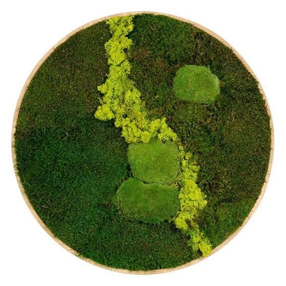 Wanddecoratie met mos