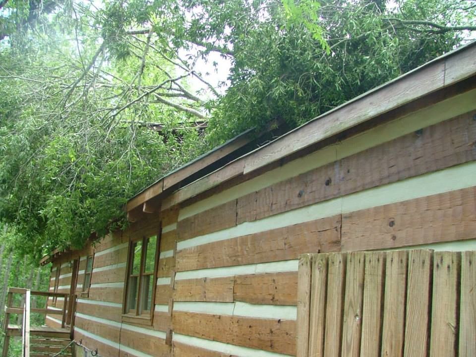 Log Cabin Surrounded By Trees — Macon, GA — Montgomery Inc. Tree Service