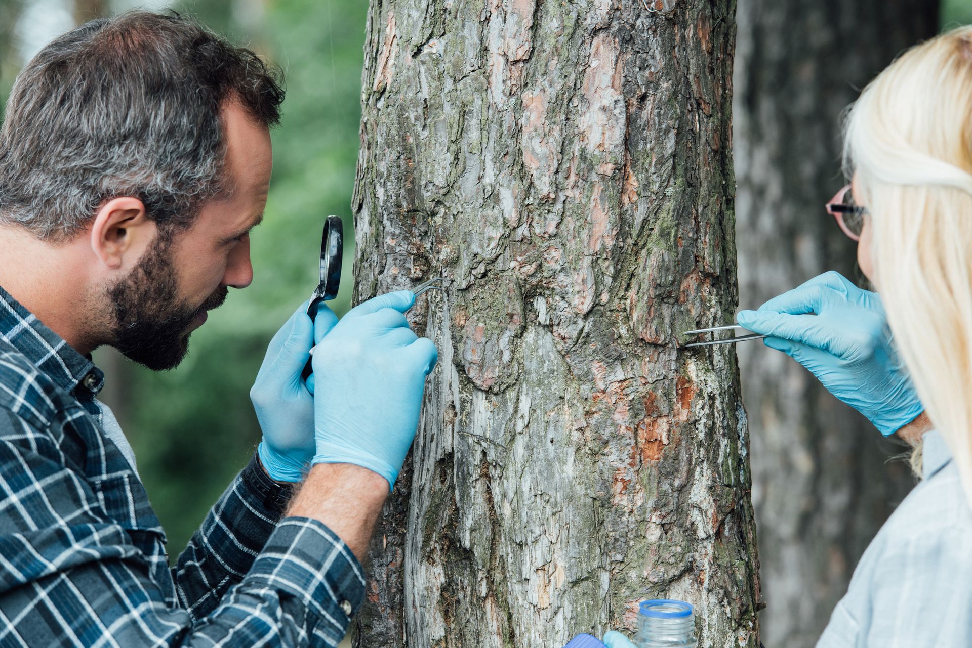 Man And Woman Checking Tree Trunk — Macon, GA — Montgomery Inc. Tree Service