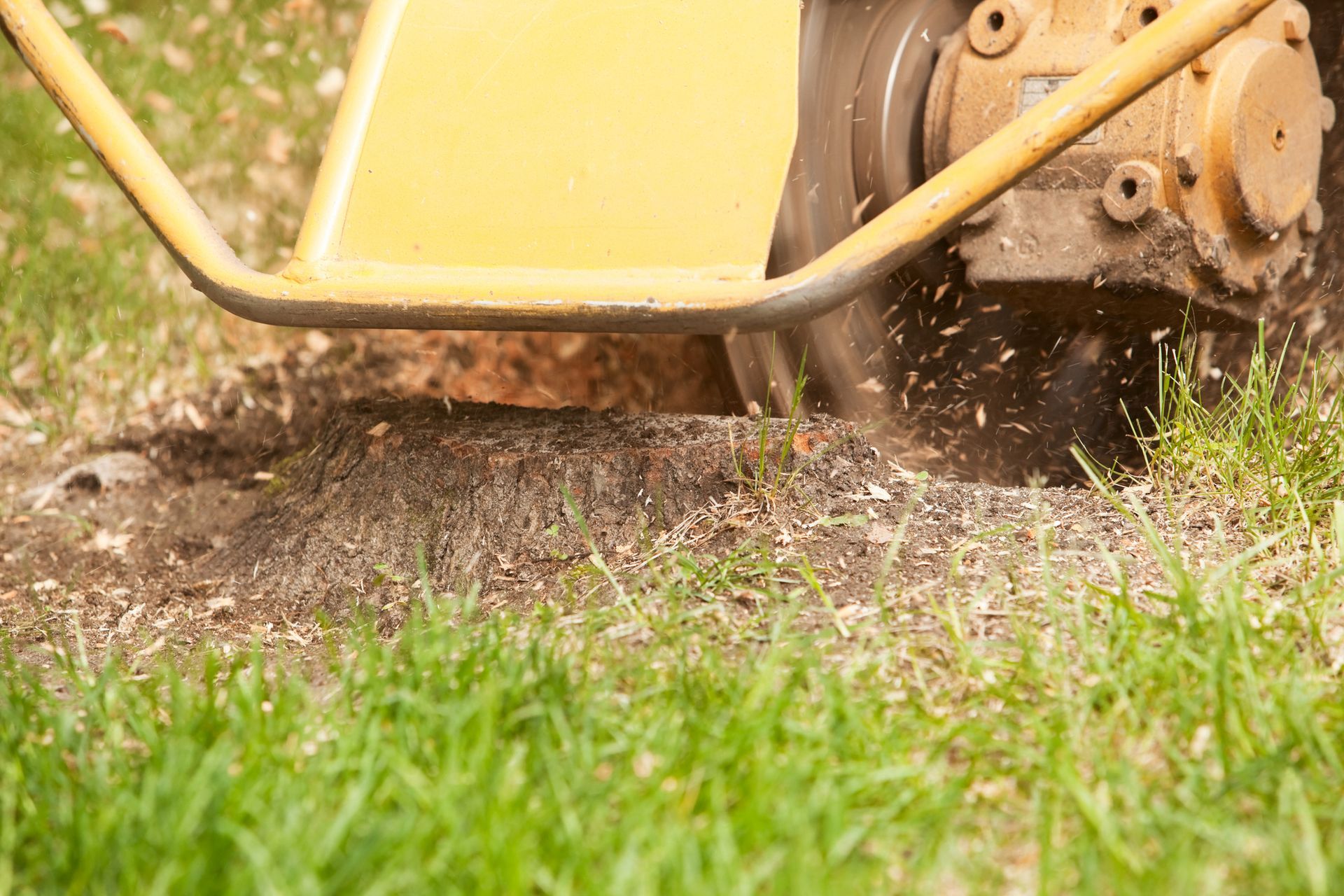 Stump Grinding — Macon, GA — Montgomery Inc. Tree Service