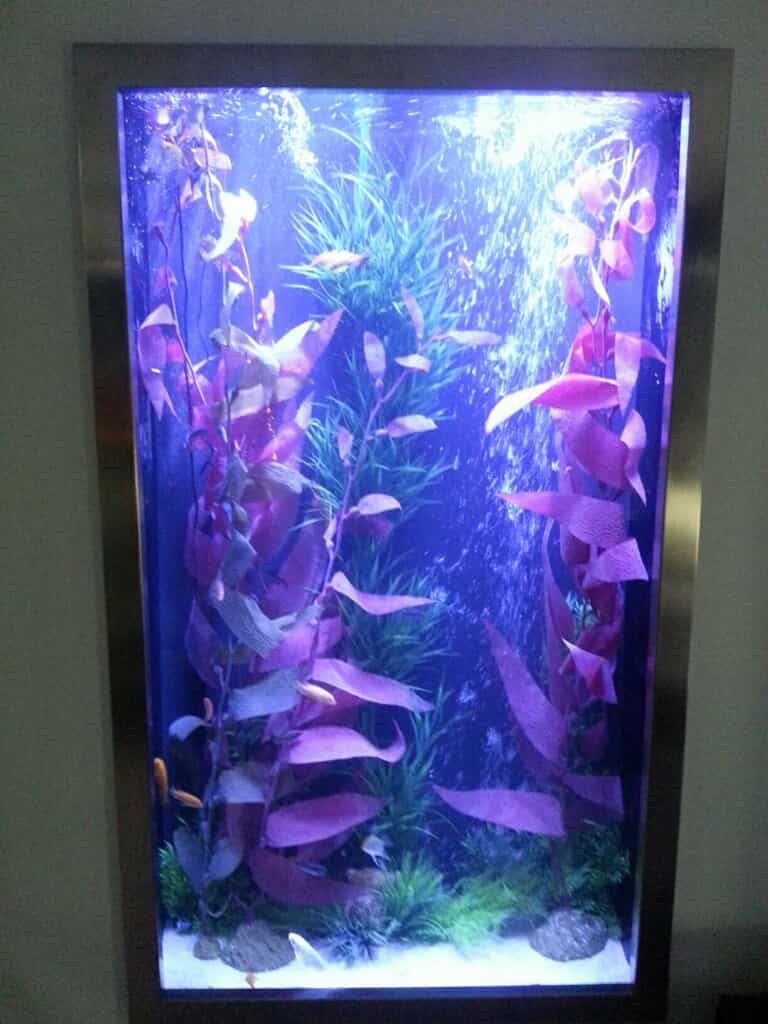 aquarium maintenance Edmond, Oklahoma Aqualife Aquarium Systems