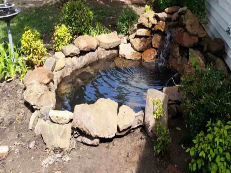 saltwater aquariums Edmond, Oklahoma Aqualife Aquarium Systems