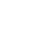 Empty white background.