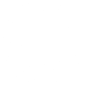 Empty white background.