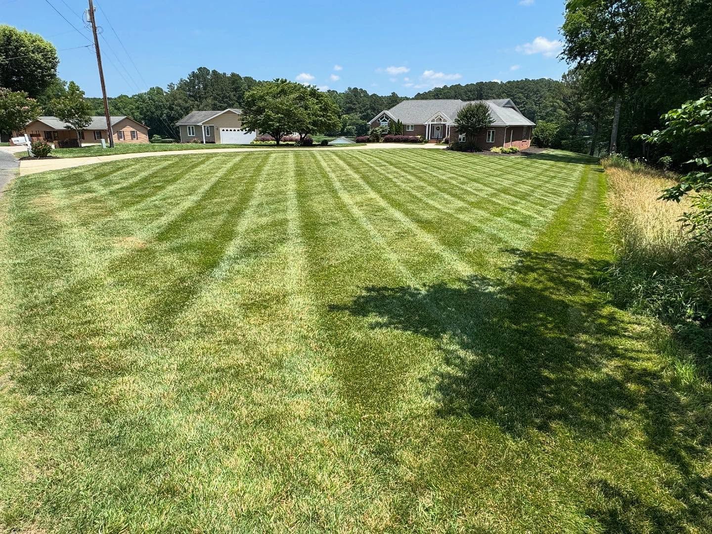 Lawn with alternating stripes of cut and uncut grass, houses in background, sunny day.