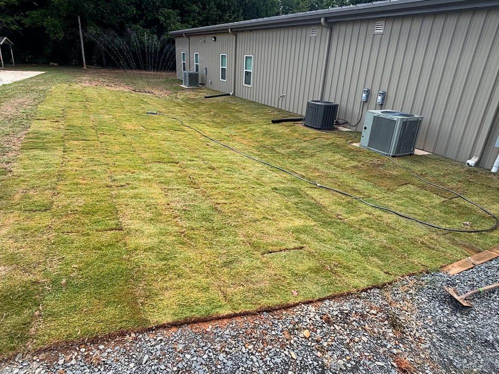 Newly laid sod next to a building, the green grass contrasting with the building’s tan siding and a gravel edge.