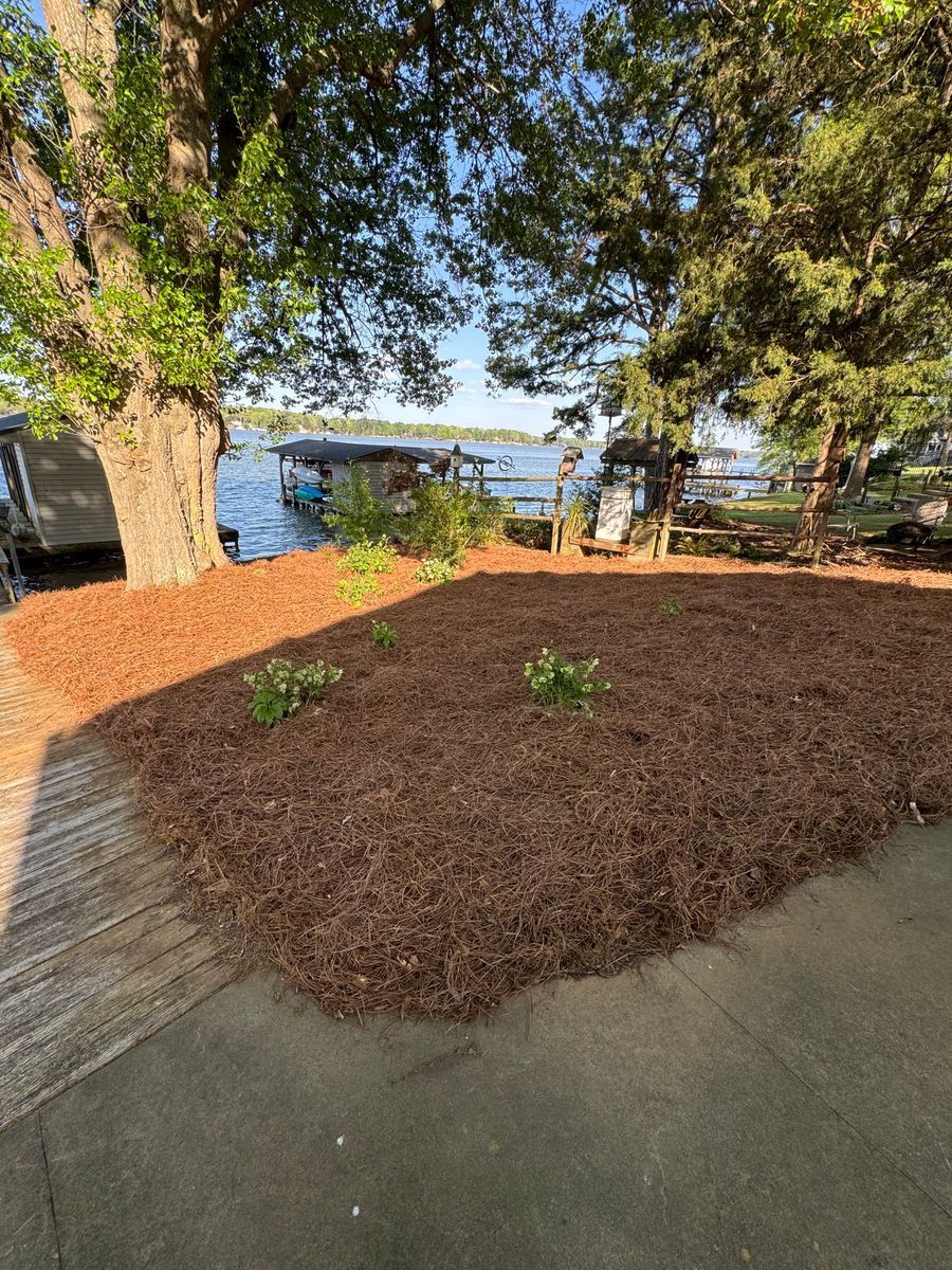 Pine straw installation project 2