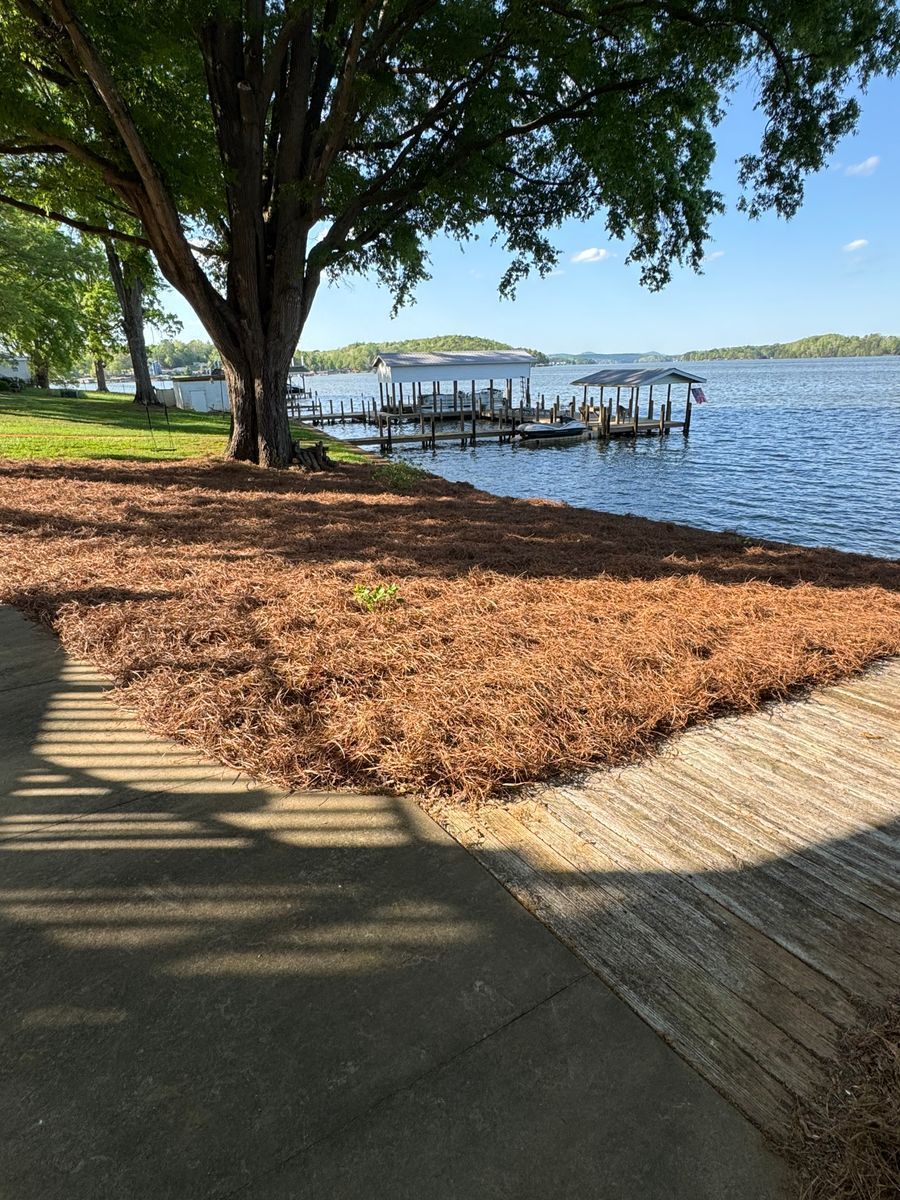 Pine straw installation project 3