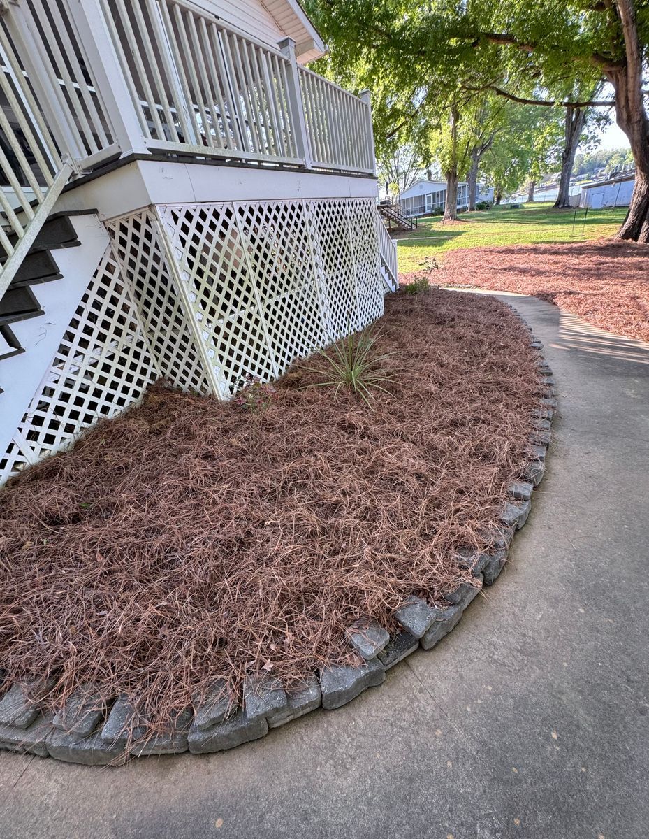 Pine straw installation project 7