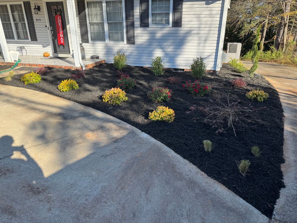 Freshly mulched front yard garden bed with various shrubs in front of a white house.