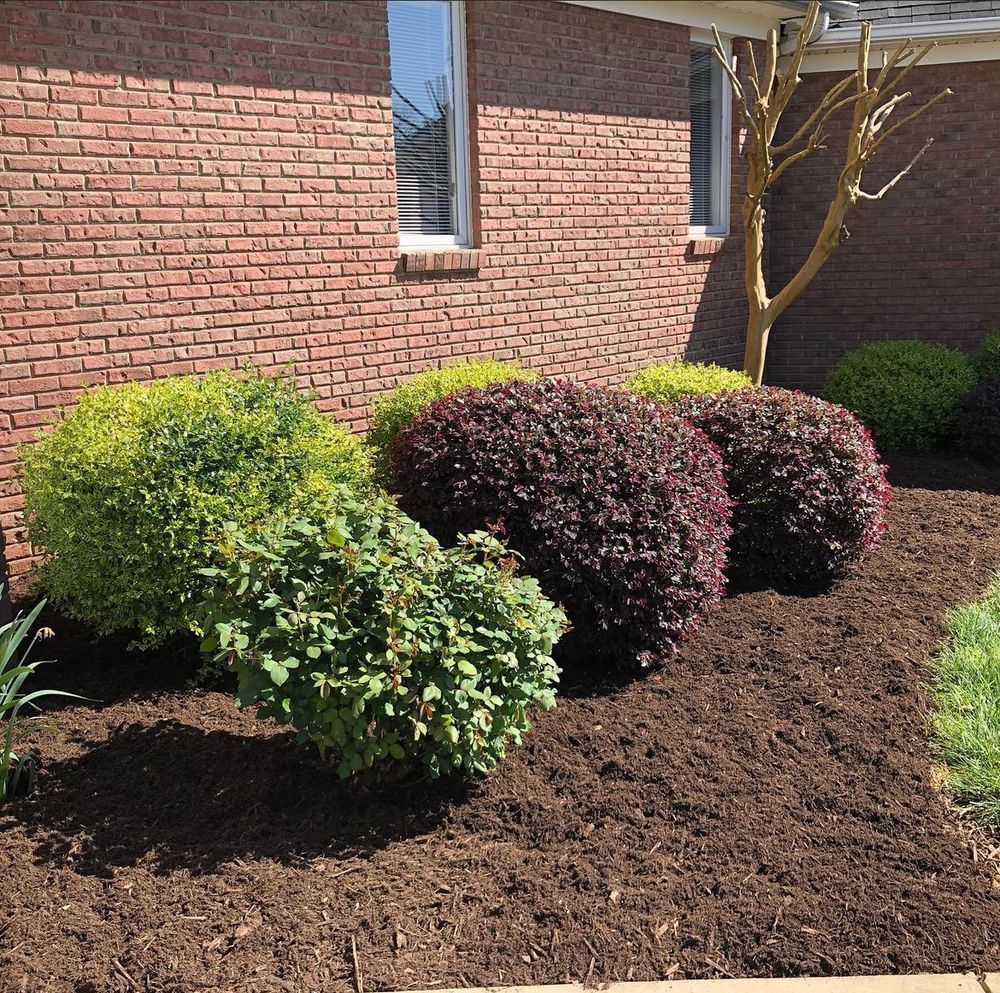 A brick building with colorful shrubs in front, covered in brown mulch.