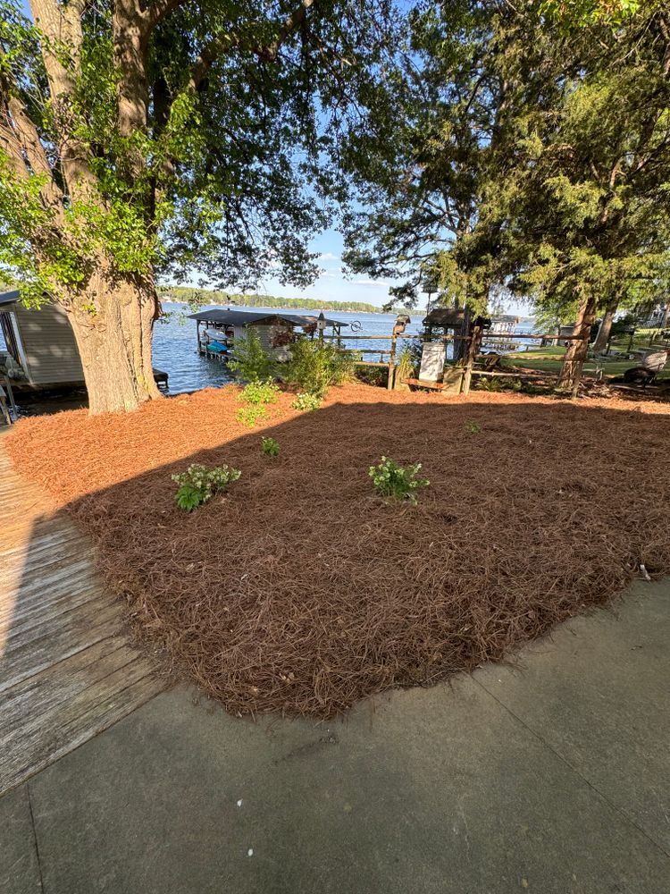 A waterfront yard with pine straw mulch, a tree, and a lake in the background.